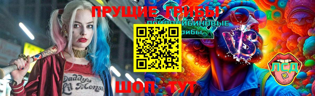 Псилоцибиновые грибы Cubensis  Вход с VPN  Тихвин 