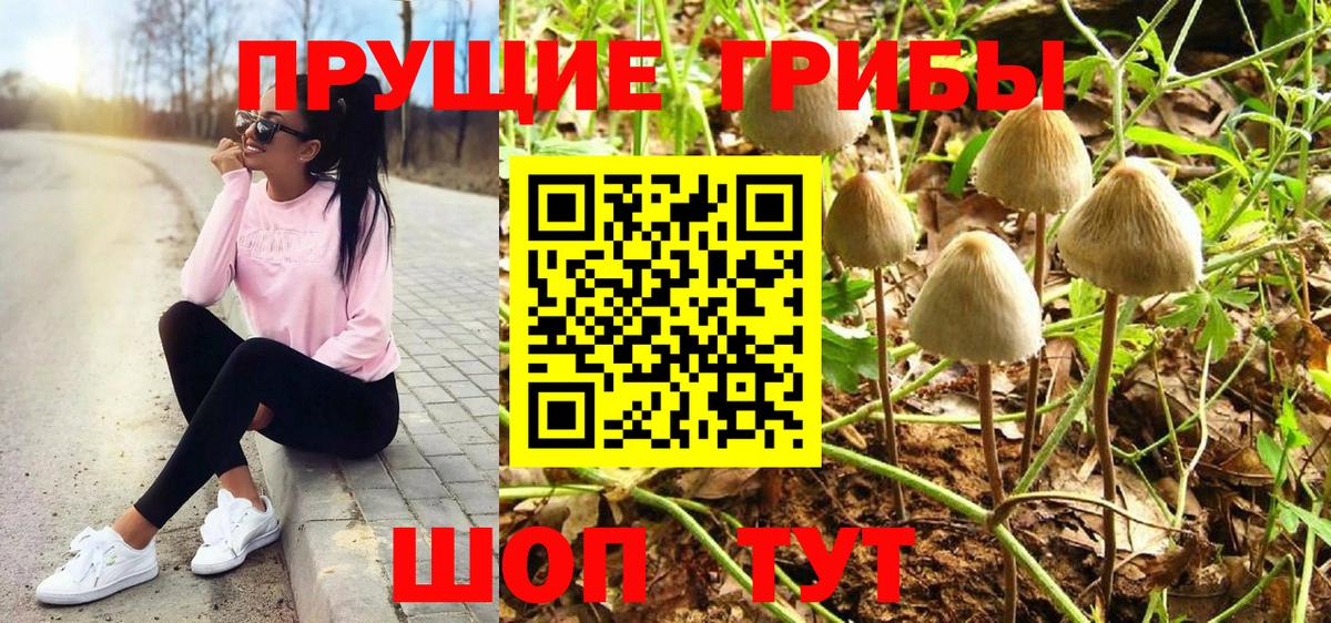 Галлюциногенные грибы прущие грибы Тихвин