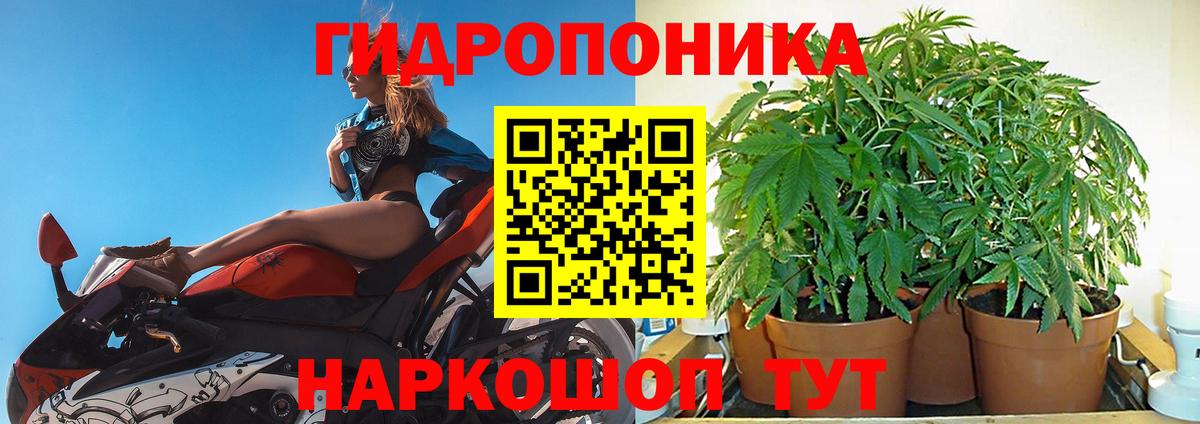 Каннабис конопля Тихвин